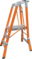 Platform ladder